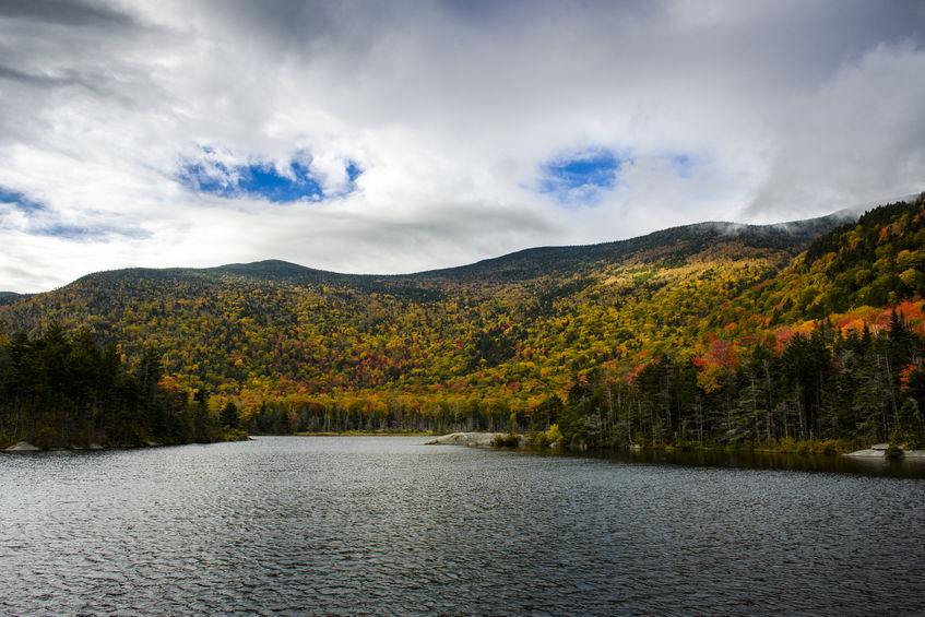 Forest Lake State Park is also something that should definitely make your list of things to do in Littleton NH.